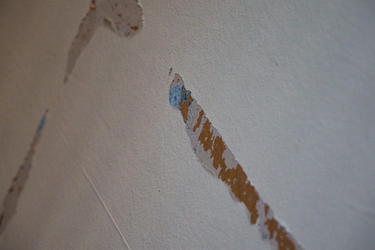 Structural Drying service in Brea, CA